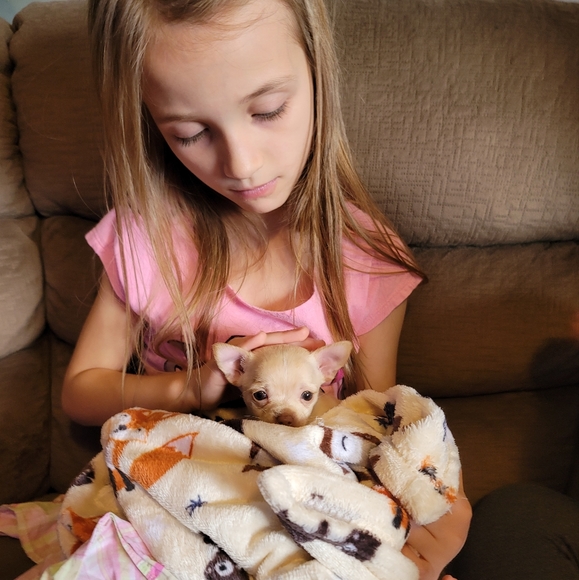 Meet your Posher, Jeffrey - Picture 12 of 15